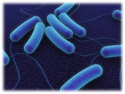 Analisis de E.coli en ASAP Laboratorio