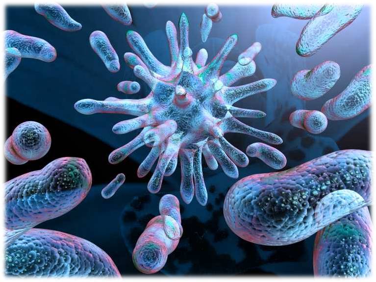 Analisis de Bacterias Aerobias en ASAP Laboratorio